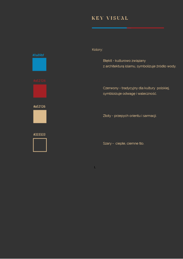 Identyfikacja wizulana