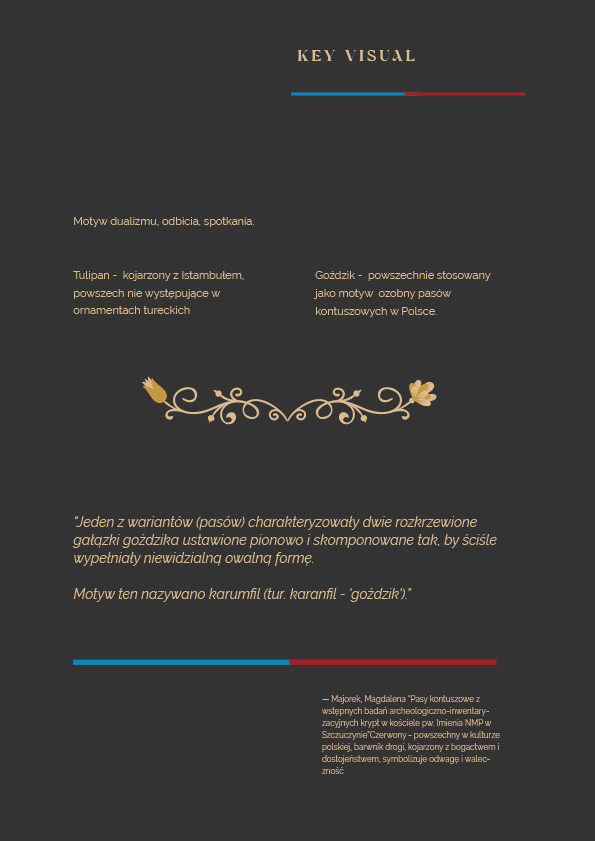 Identyfikacja wizulana